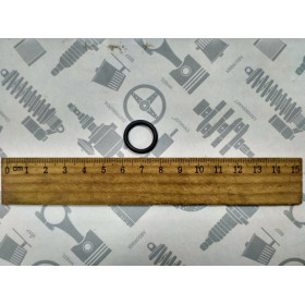 Кольцо уплотнительное компрессора ГАЗ МАЗ ЗАЛ ПАЗ (18х13,5х2) резиновое